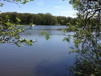 Scorton  Cleveley Mere Luxury Waterside Lodges מראה חיצוני תמונה